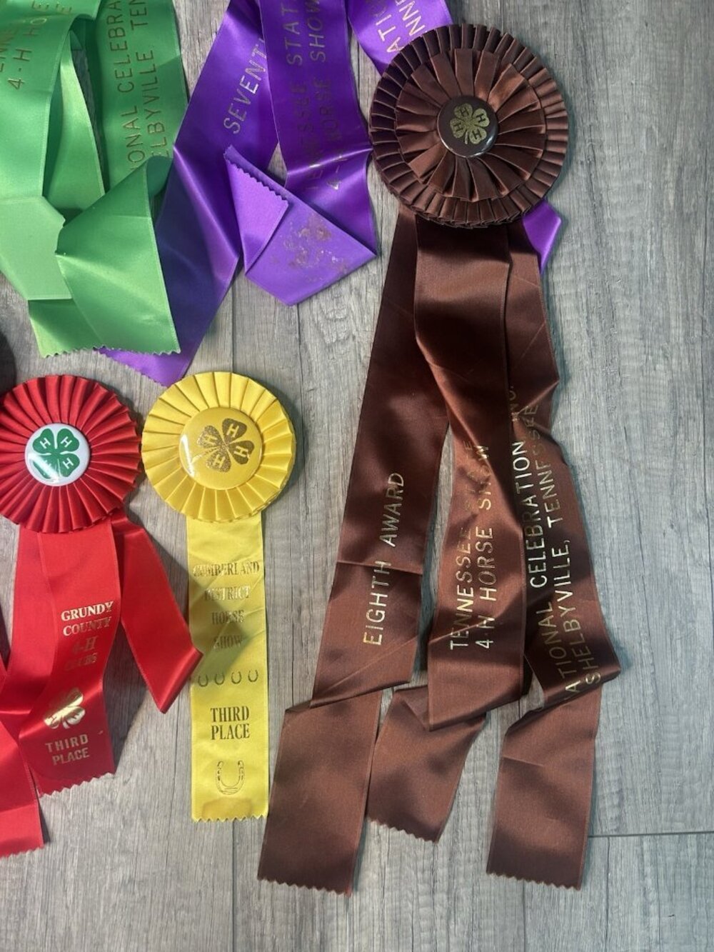 Show Ribbons 4-H Club Rosettes Craft Equestrian Tennessee Shelbyville Lot Of 19 - Picture 16 of 16